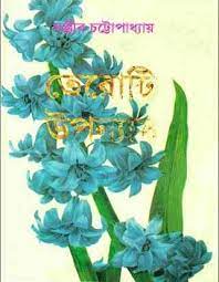 13 ti Uponnas by Sanjib Chattopadhyay