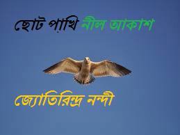 Choto Pakhee Neel Akash By Jyotirindra Nandi