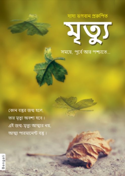 Death Before, During & After by Dada Bhagwan