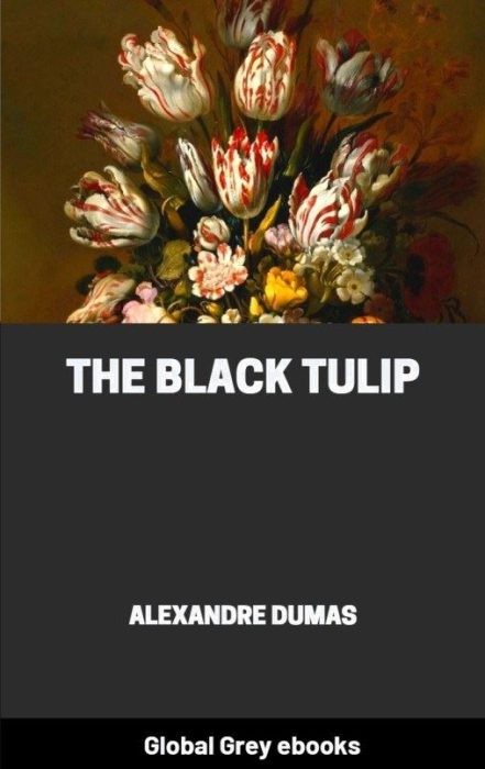 Black Tulip