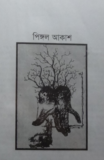 Pinggol Akash By Shawkat Ali